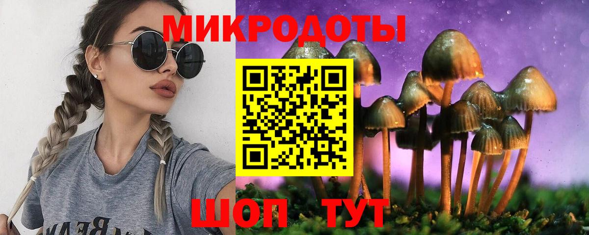 Галлюциногенные грибы Cubensis Сергиев Посад
